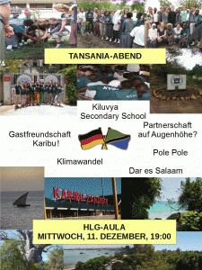 Tansania Flyer